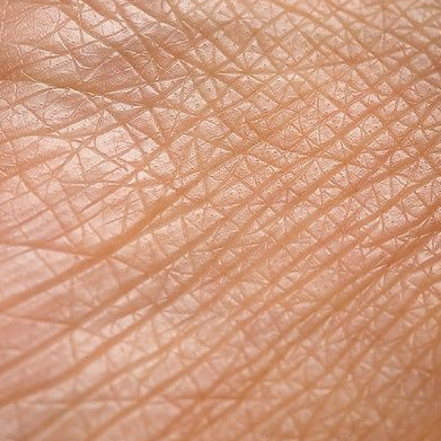 Anti-Âge - Avure Skincare