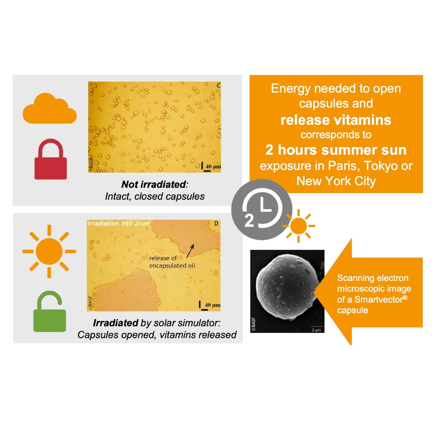 Radiance & Brightening - Duo - Avure Skincare