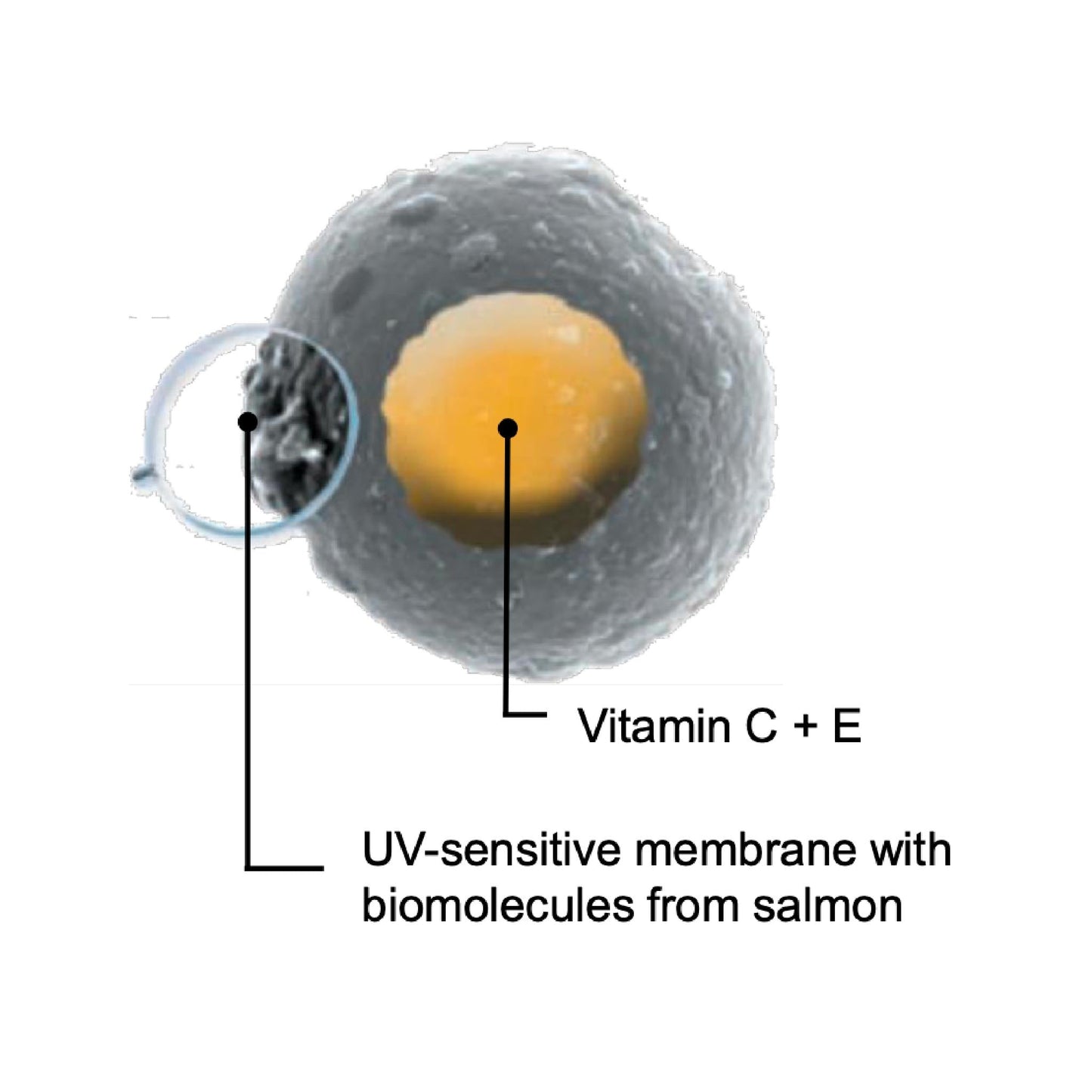 Radiance & Brightening - Duo - Avure Skincare